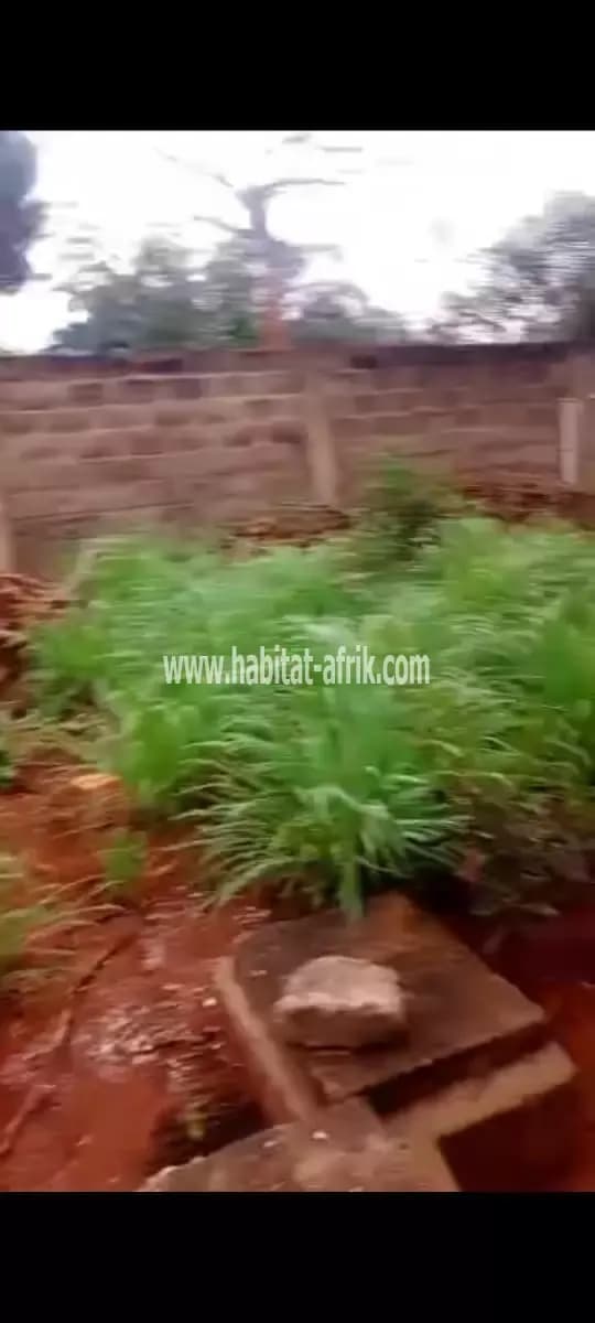 Terrain a vendre demi lot à déduire de trois lots solidement clôturer situé à adidogome amadahome lome togo