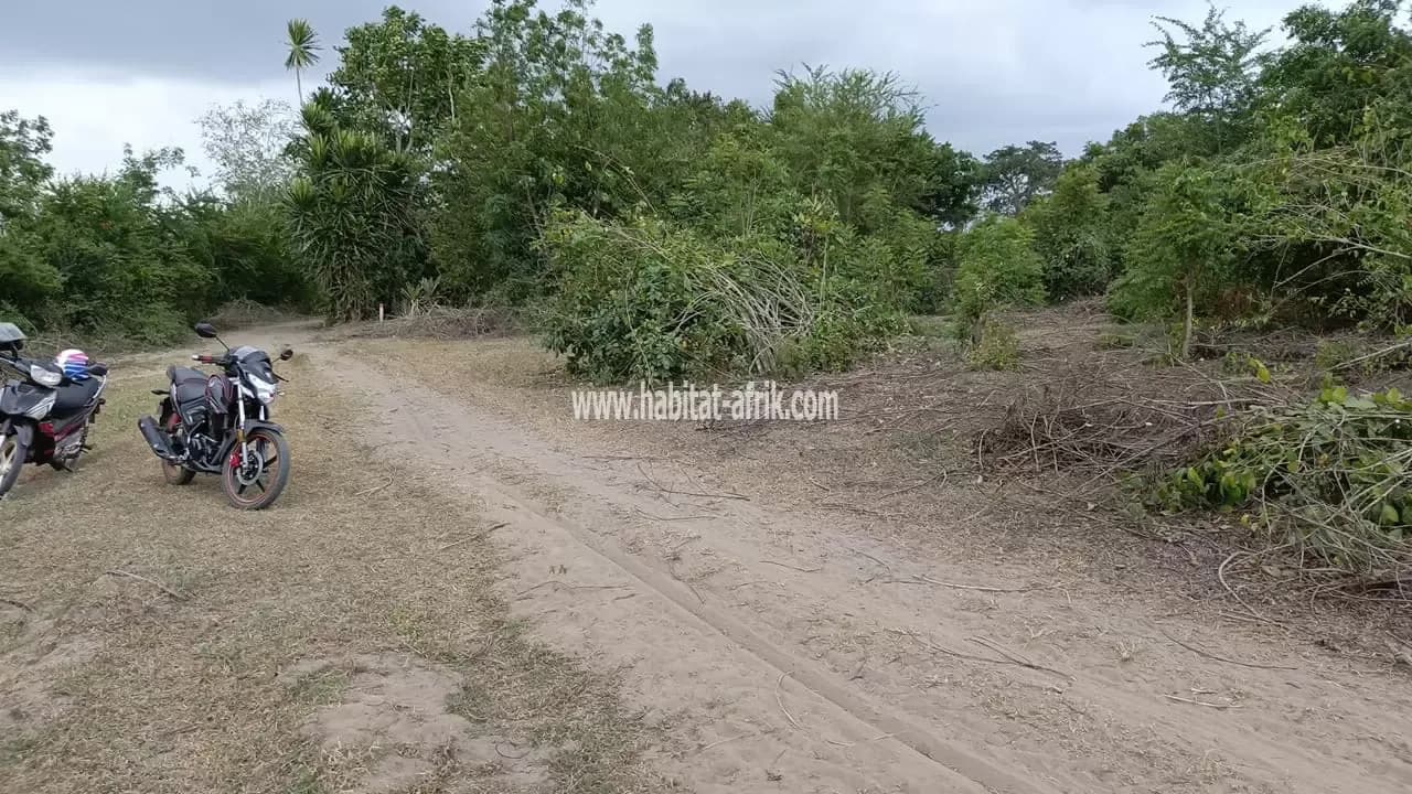 Nous mettons en vente une parcelle agricole de 40 hectares à exploiter comme carrière de sable 2km du goudron situé à kpomé togo