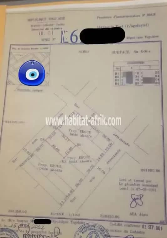 Nous mettons en vente une parcelle de terrain un (01) lot en forme rectangulaire situé à 500 mètres accès direct du goudron carrefour des sœurs