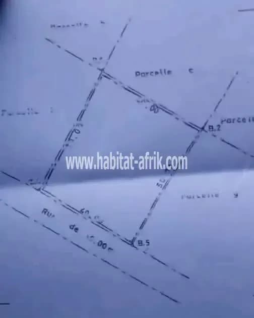 DOMAINE DE D'UNE SUPERFICIE DE 2.000M² À VENDRE, ZOPAH, CITÉ AIR AFRIQUE - AKASSATO - CALAVI