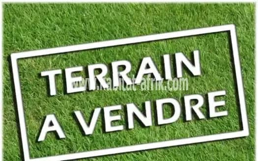 TERRAIN À VENDRE À DALAVÉ, 5MIN DE WELL CITY