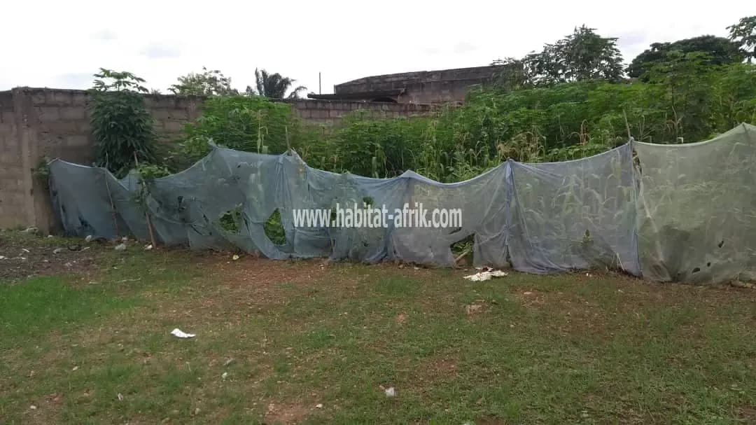 PARCELLE À VENDRE À CALAVI GBODJO AVANT ARCONVILLE ET DERRIÈRE L'ÉCOLE LES LEADERS HECM