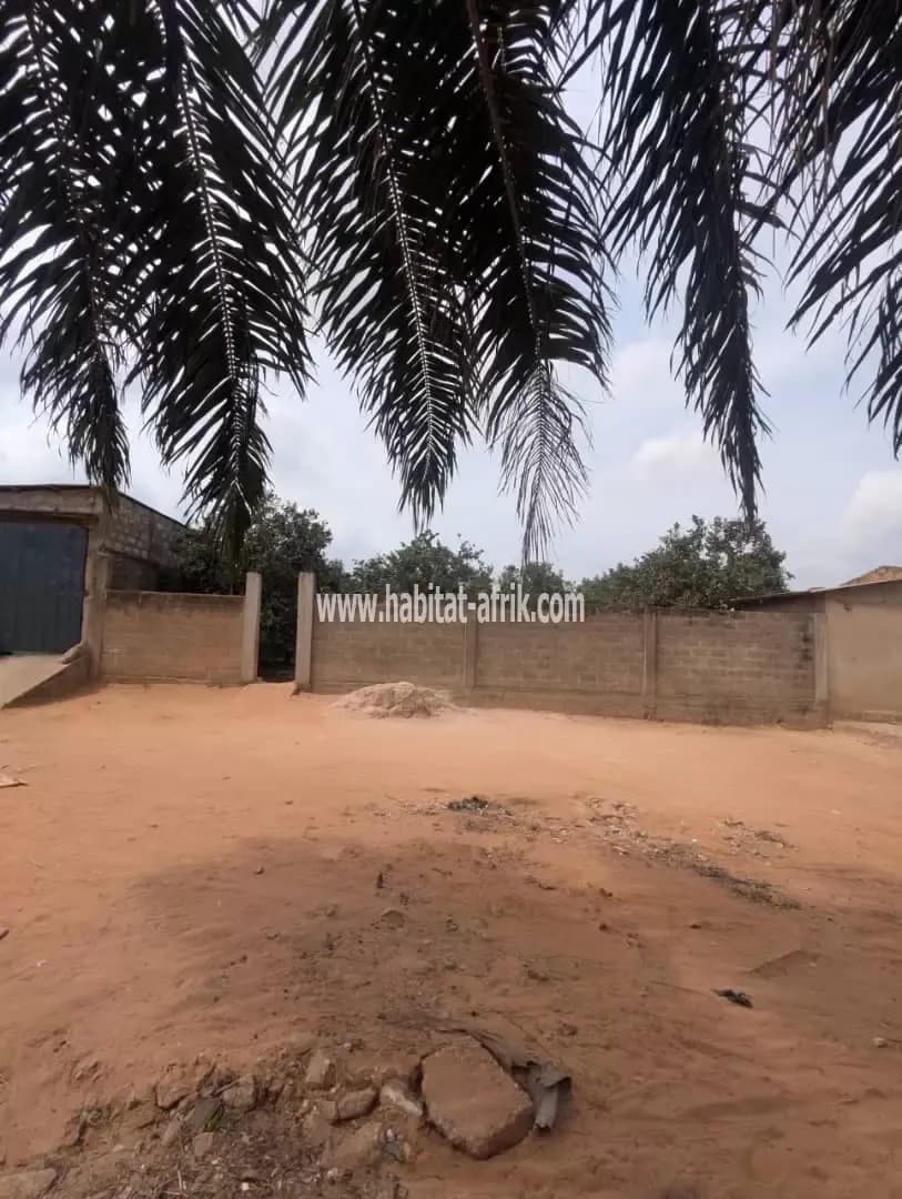 Je mets en vente une parcelle de terrain deux (02) lot colle avec titre foncier a segbe derrière la station essence energium lome togo