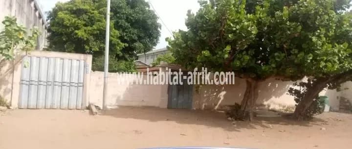 GRANDE PARCELLE EN PLEIN CŒUR DE COTONOU