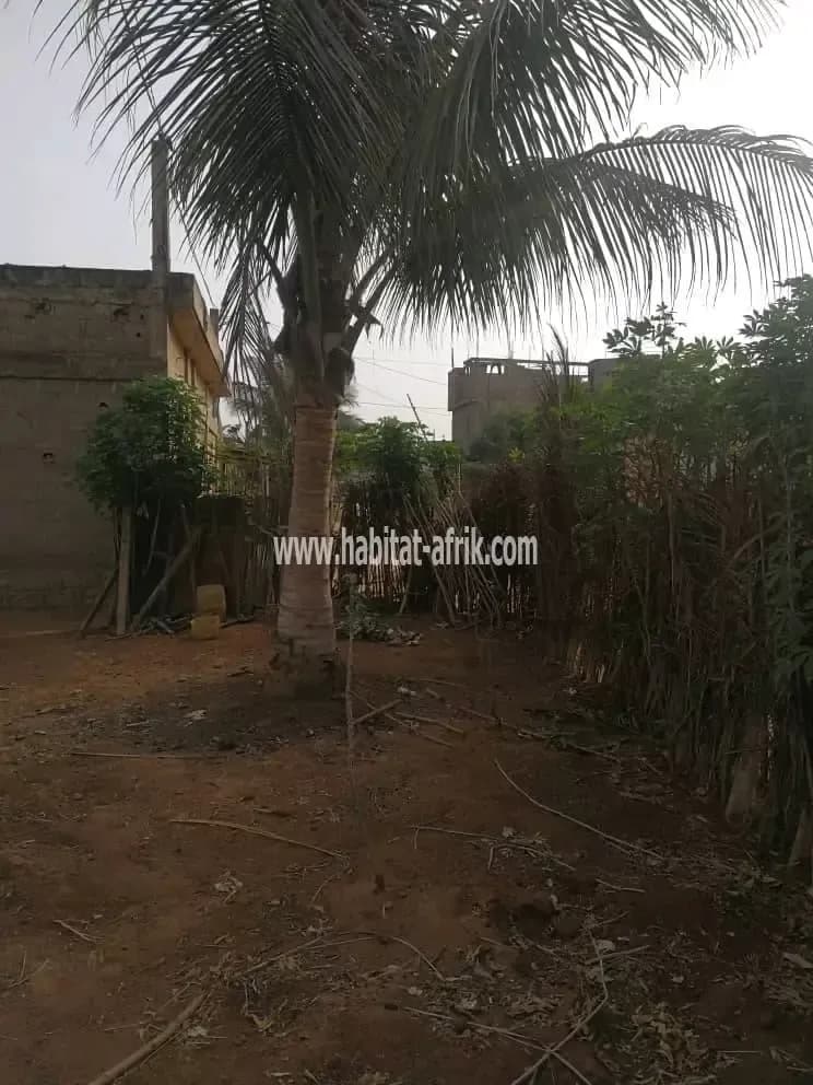 Je mets en vente une parcelle demi lot à déduire de un lot situé à assigome lome togo