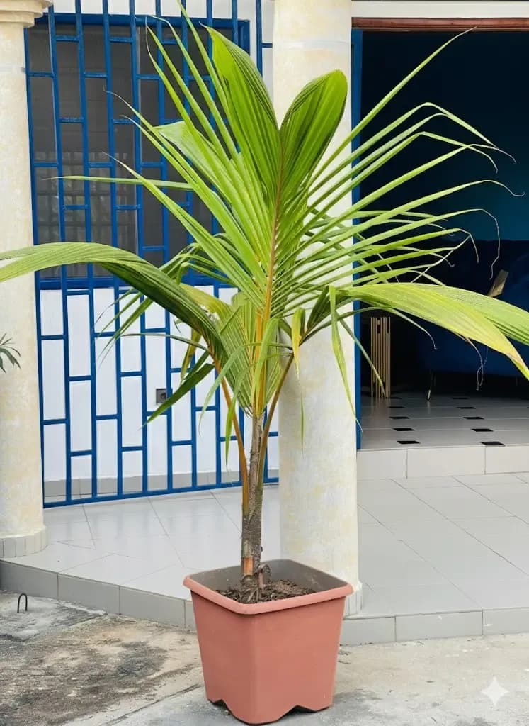 Appartement meublé