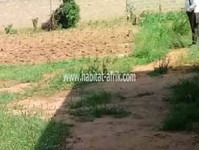 terrain bien situé à vendre à agbodrafo