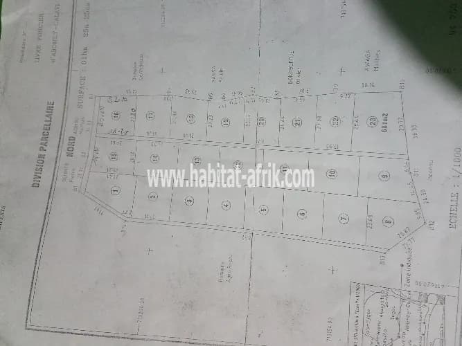 1 hectares