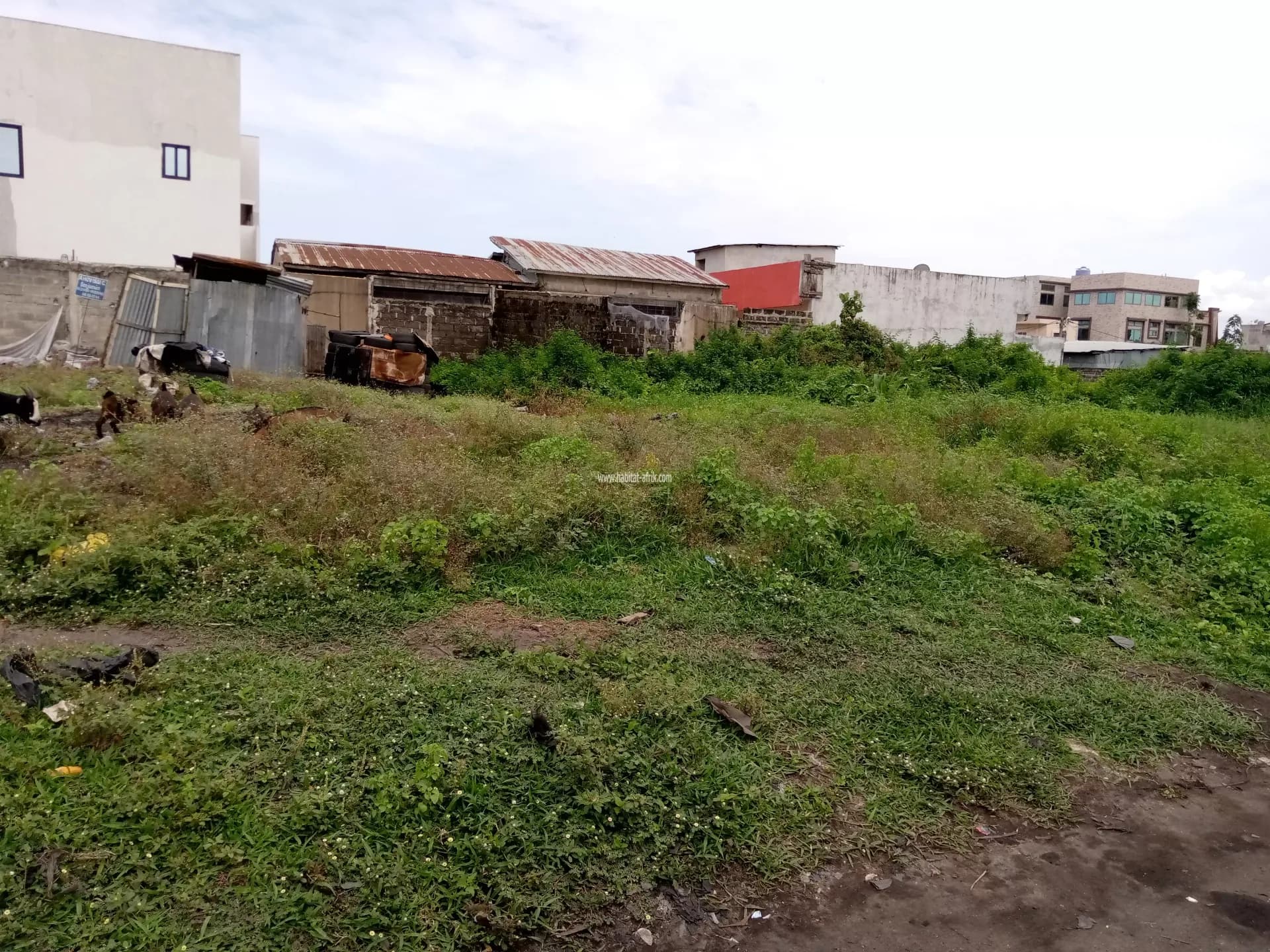 parcelle a vendre a Cotonou