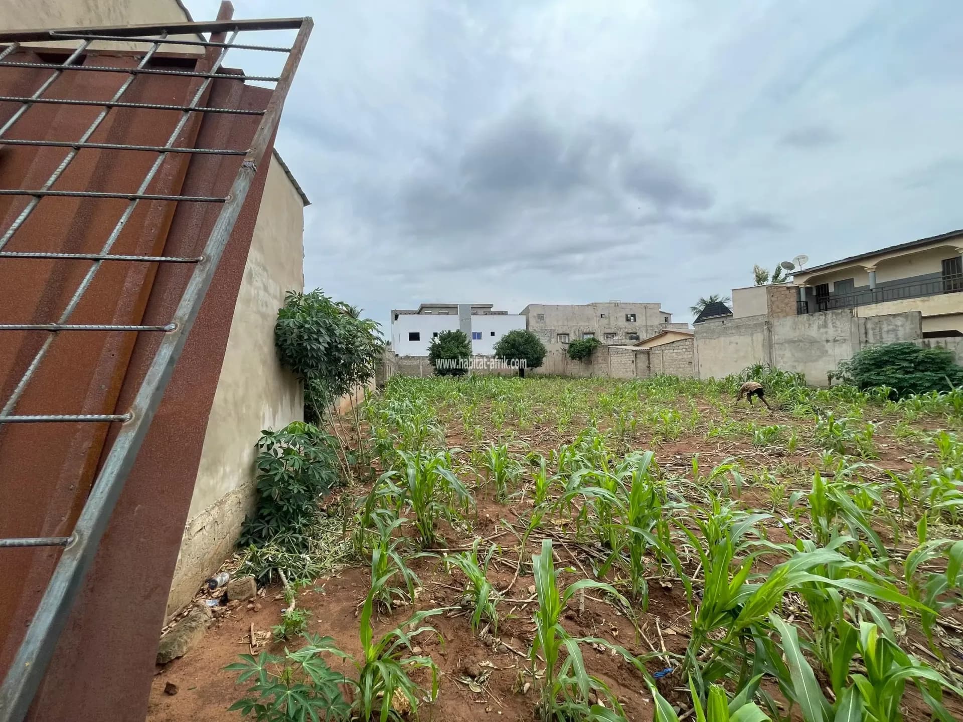 Je mets en vente une Parcelle de 900m2 soit 1 lot et demi situé à 200m du goudron atilamonou carrefour gogoligo lome togo