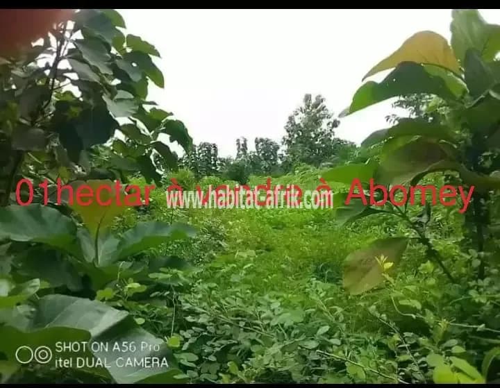 Hectare à Abomey à vendre