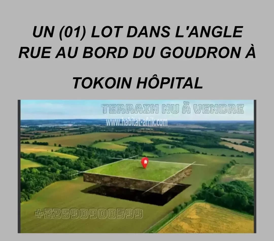 TERRAIN À VENDRE : 1 LOT DANS L'ANGLE RUE AU BORD DU GOUDRON À TOKOIN HÔPITAL