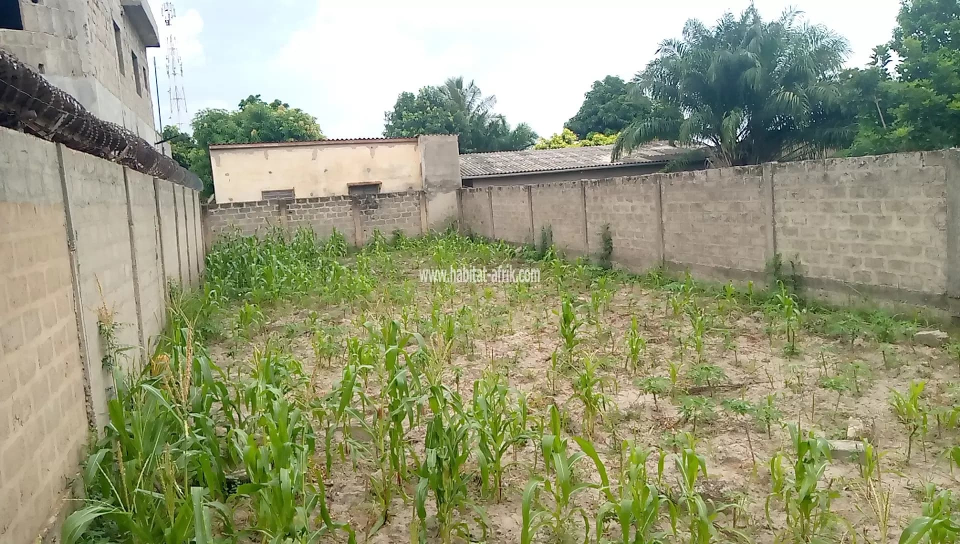 DEMI LOT A VENDRE À ADIDOGOMÉ KOHÉ