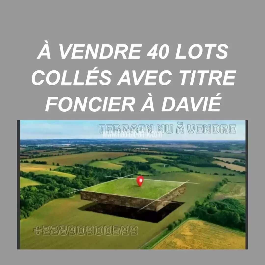 A VENDRE 40 LOTS COLLÉS À DAVIÉ
