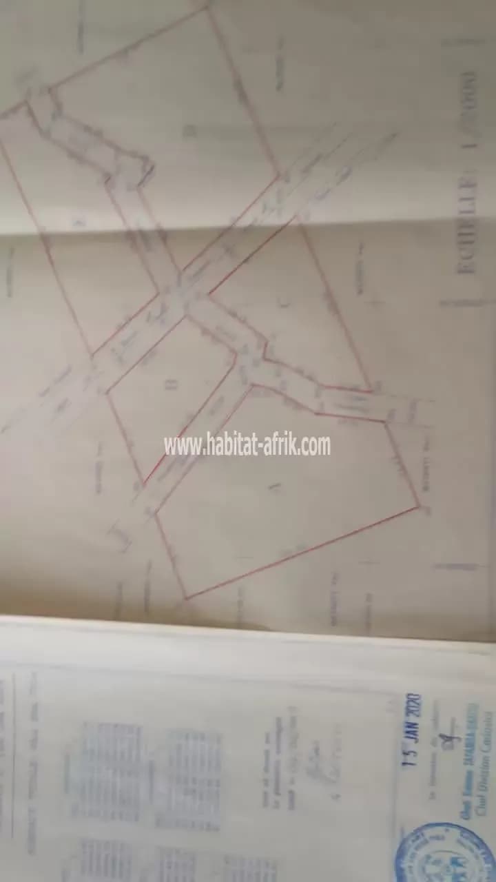 JE METS EN VENTE UNE PARCELLE DE TERRAIN AGRICOLE QUATRE (4) HECTARES A AZANHOUN 500m DU