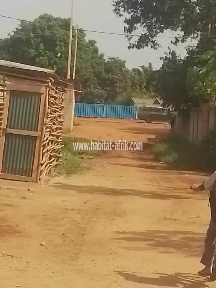 PARCELLE AVEC TF PERSONNEL À 50MÈTRES DU GOUDRON À CALAVI TOGBA ASSROSSA
