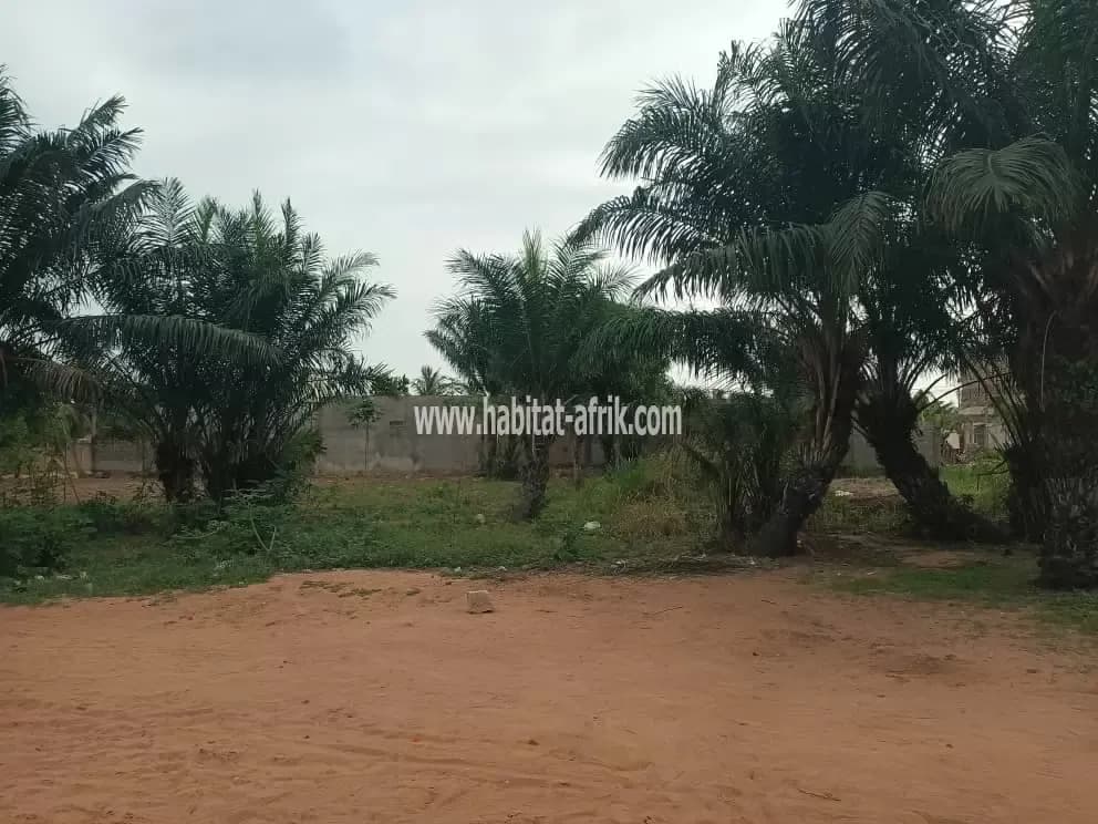 Nous mettons en vente une parcelle de terrain un (01) lot située à adidogome logote marché Lomé togo