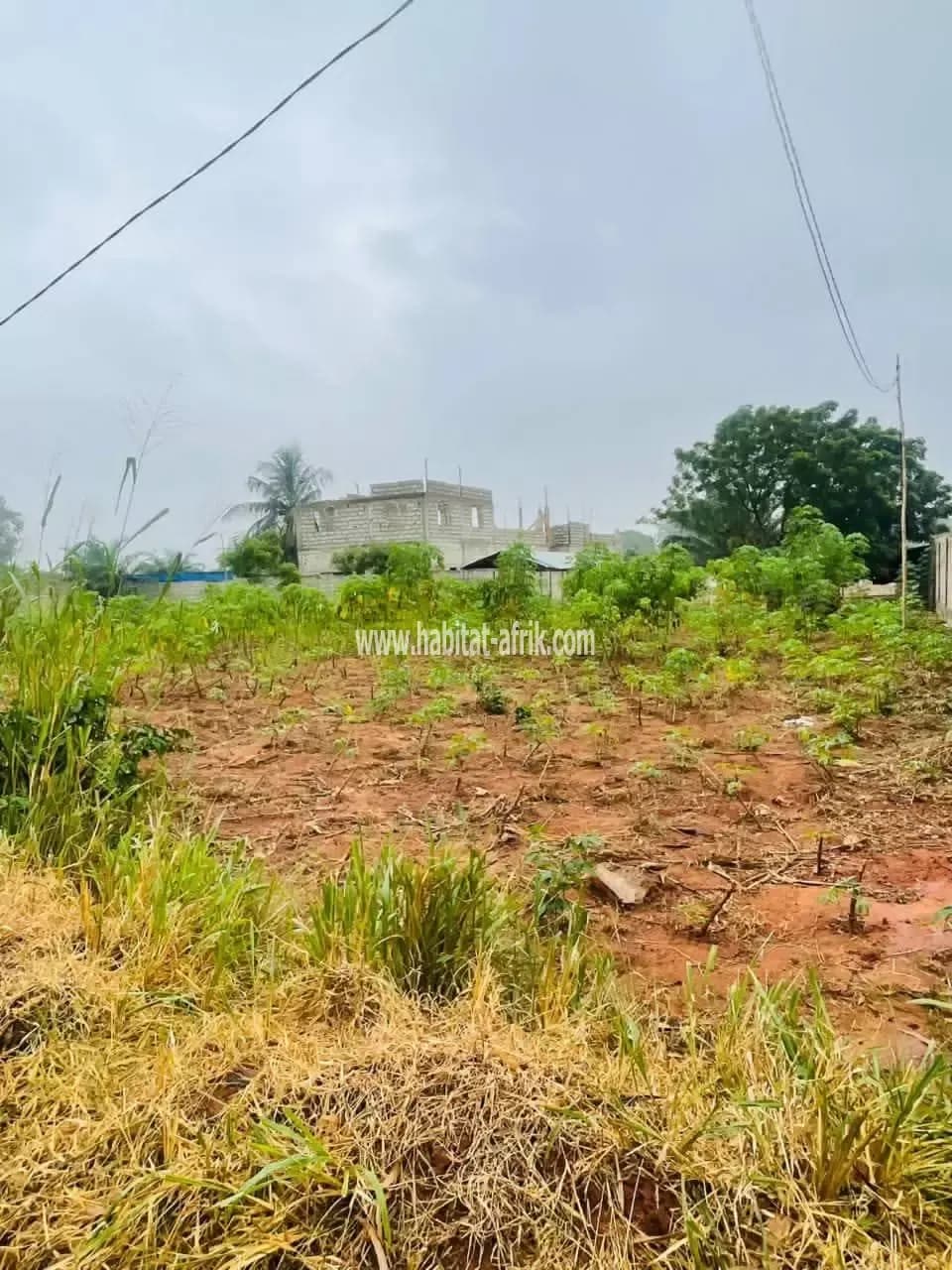 Nous mettons en vente une parcelle de terrain un (01) lot bien situé pour tout projet, 30 mètres accès direct au goudron Boulevard N°5 précisément ancien péage Sanguera Lome Togo