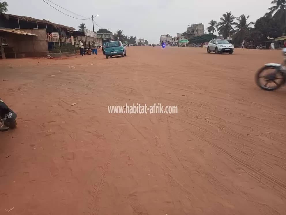 Je mets en vente une parcelle de terrain 01 lot en face d’une rue 50m à Amadanhome rail pharmacie iris lome togo
