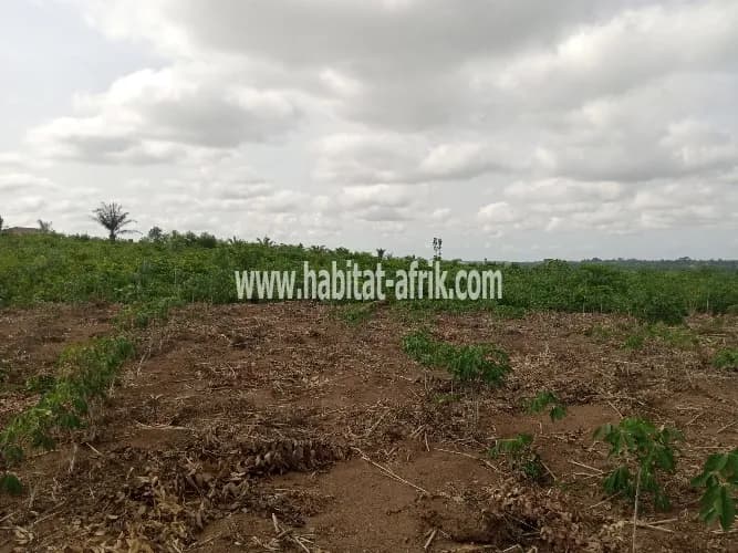 DOMAINE A VENDRE A TORI CADA
