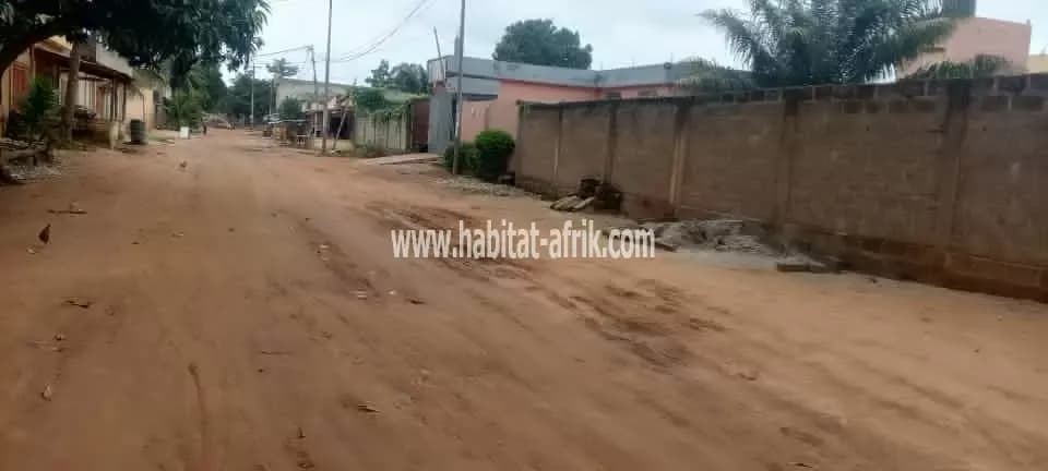 Nous mettons en vente une parcelle de terrain un (01) lot situé à 80 mètres accès direct sur goudron contournement Legbassito Lome togo