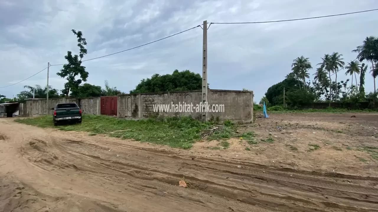 05 PARCELLES À VENDRE À COCOTOMEY ZOUNGA