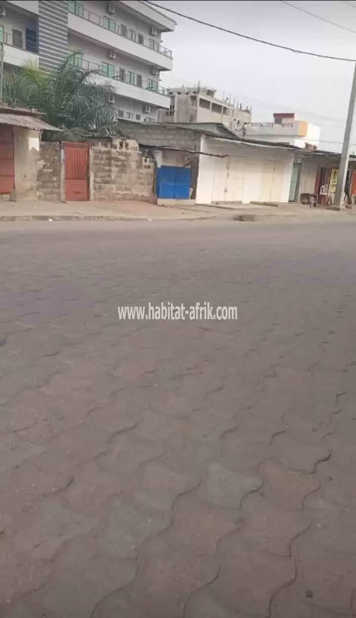 Parcelle en 1ère position des pavés à vedoko