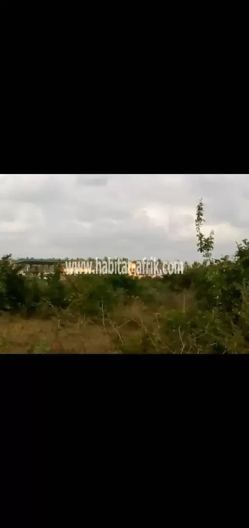 parcelle à Ouidah à vendre