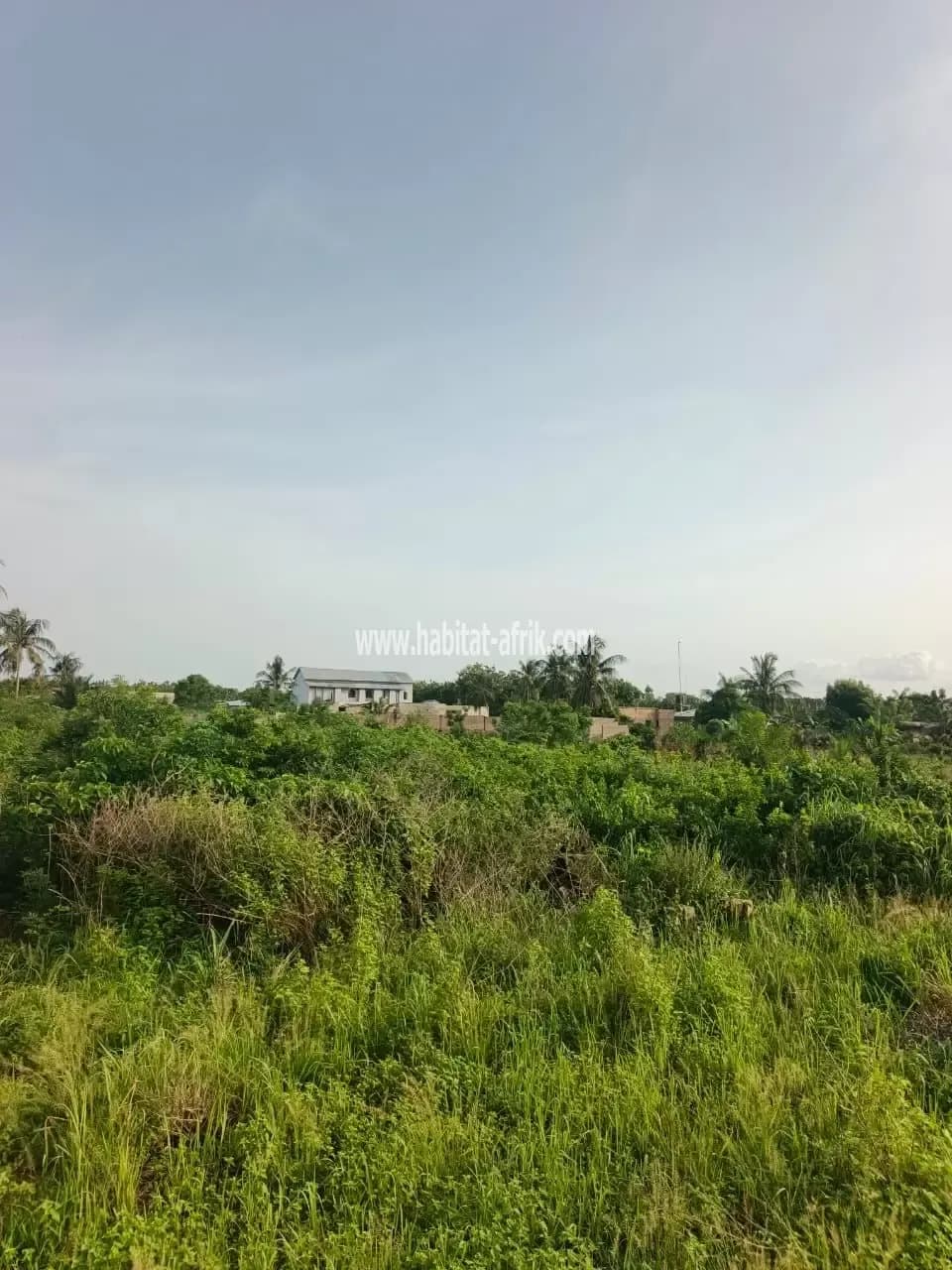 Terrain à vendre 01 lot à déduire de 3 lots situé à akepedo avant peage lome togo