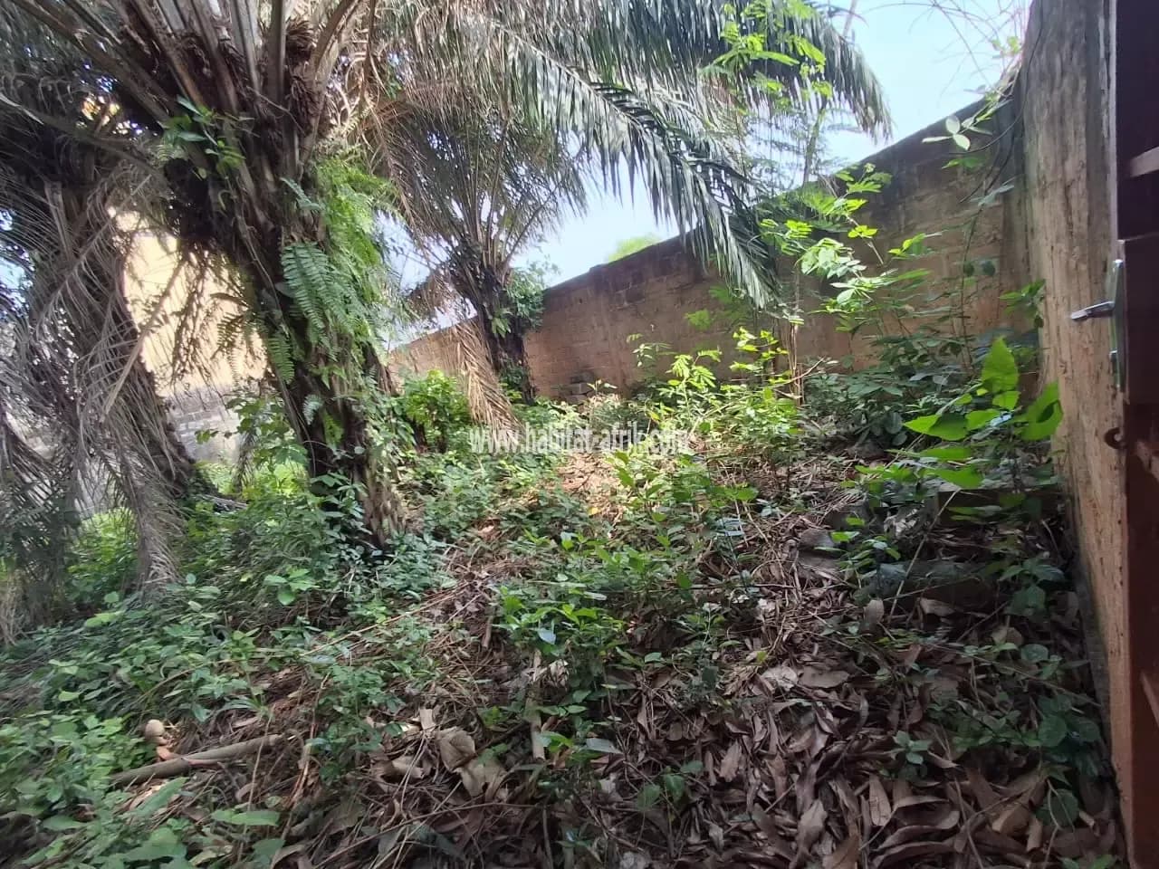 Nous mettons en bail pour cinq (5) ans une parcelle demi lot, terrain en angle de rue situé à 80 mètres du goudron sanguera apres le marché lome togo