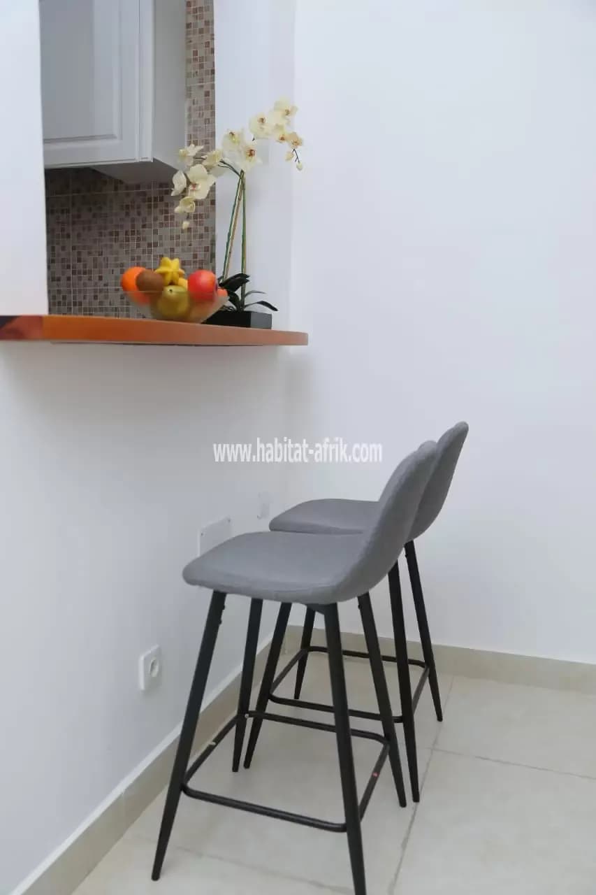 Appartement meublé 2 pièces