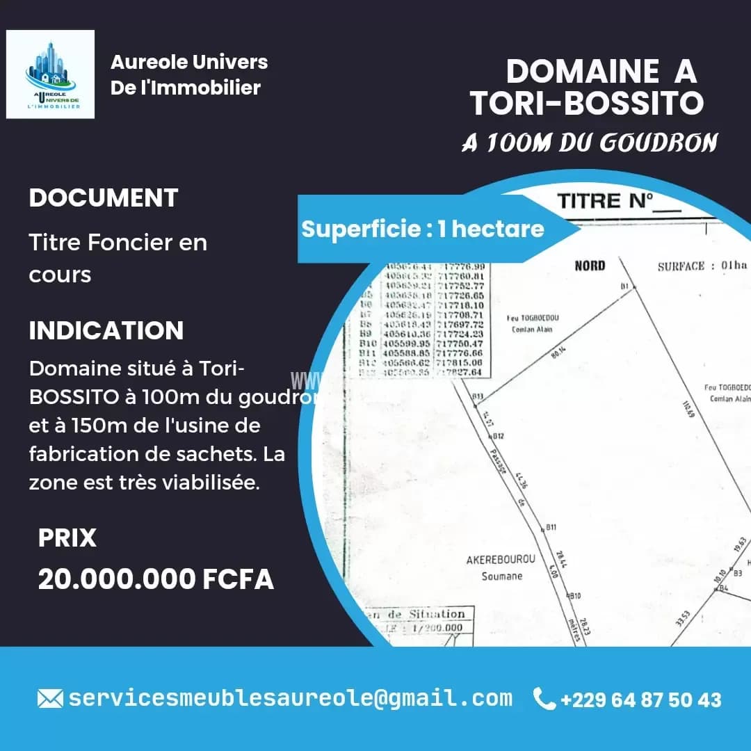 DOMAINE D'UN HECTARE A TORI-BOSSITO