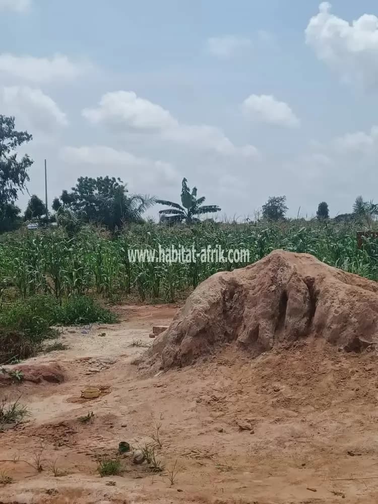 A VENDRE  !! Un (1) Lot de terrain à Djagblé Gbamakope, moins d' 1km du CEG Gbamakope et 3km de la station Somayaf.  Zone très bien habitée.  Prix de vente : 7 Millions le lot A débattre pour urgence.  Papiers: Titre Foncier Global Visite Programmée avec