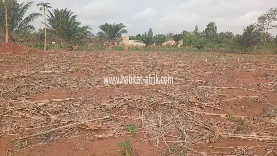 DOMAINE DE 5.000M² MORCELE A ZINVIE KPANROUN