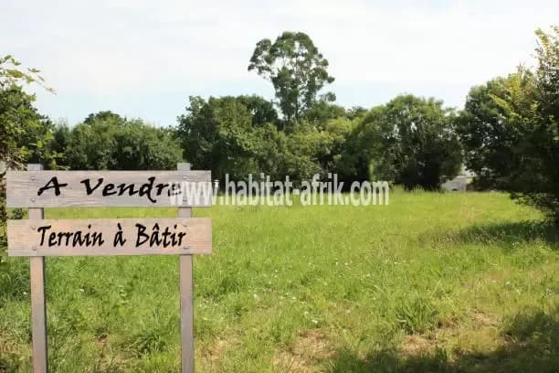 Vente à Agonkanmey Allada, un domaine morcelé sur différentses Superficies dans une zone viabilisée avec électricité et différentes infrastructures