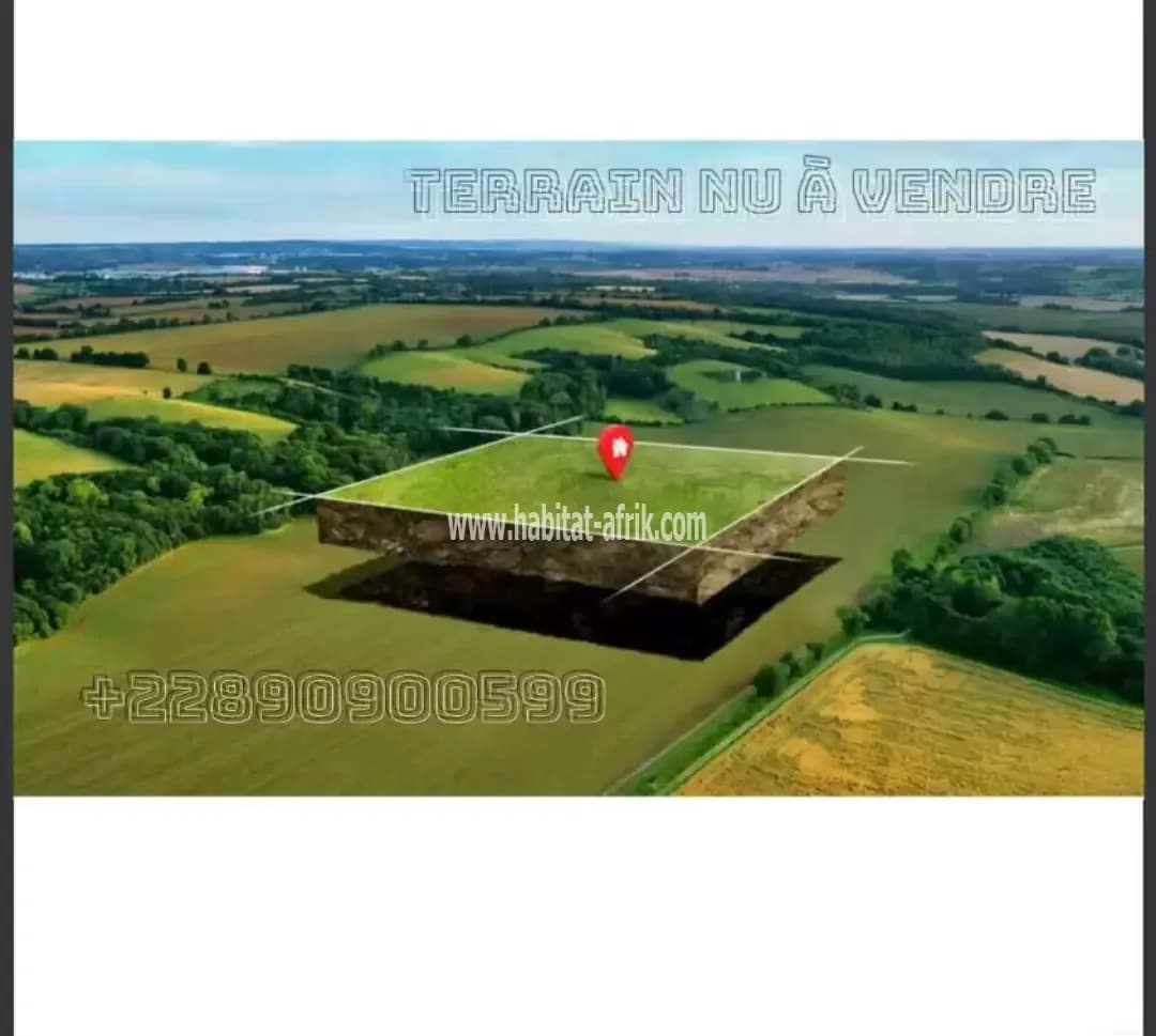 QUATRE (04) LOTS À VENDRE : KODJOVIAKOPÉ AU BORD DU GOUDRON