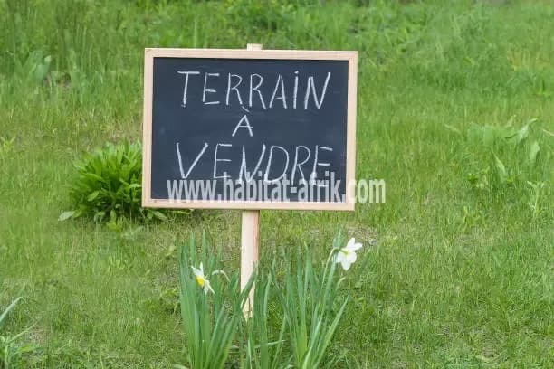 PARCELLE À VENDRE À AGONTINKON
