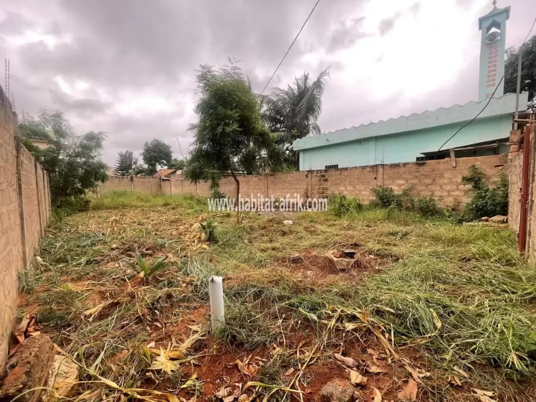 Nous mettons en vente une parcelle de demi lot, terrain situé à adidogome sagbado logote précisément carrefour CFA Lome togo