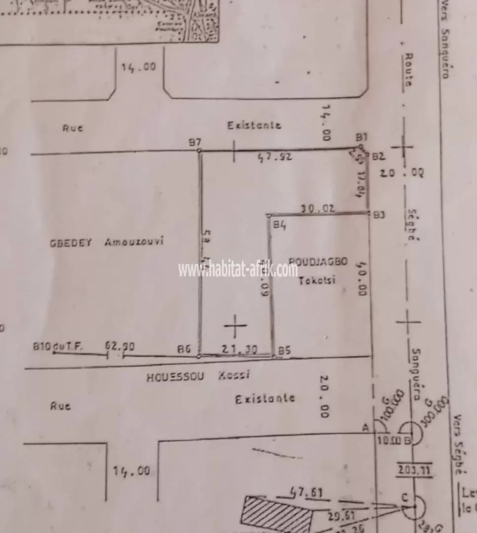 3 lots collés angle rue clôturés en vente à Ségbé au bord de la voie Ségbé-Zanguéra(Lomé-Togo)