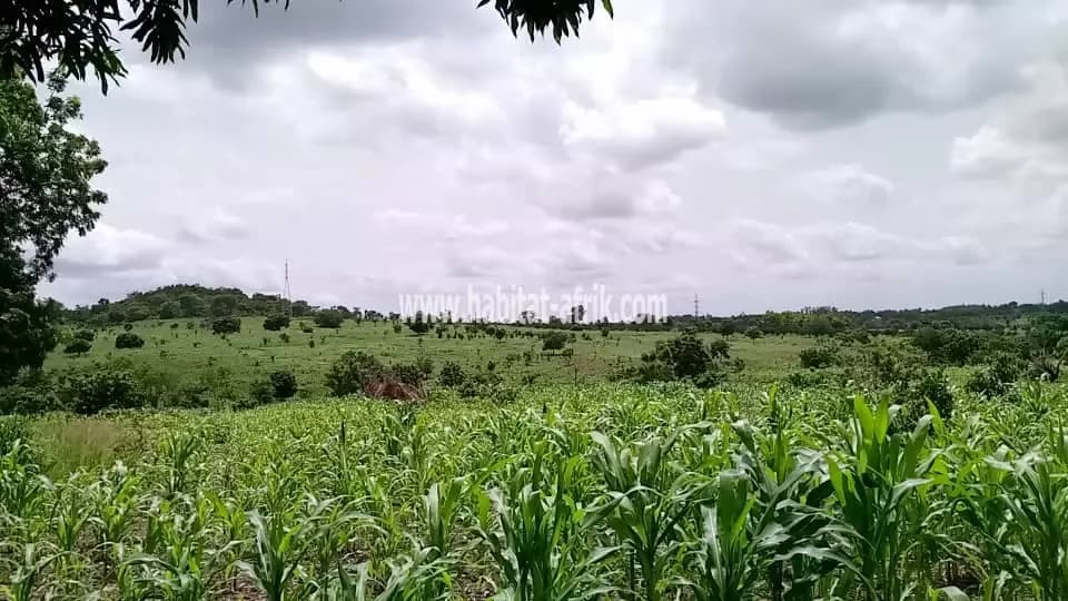 VENTE D'UNE FERME AGRICOLE DE 27 HECTARES DANS LE COUFFO
