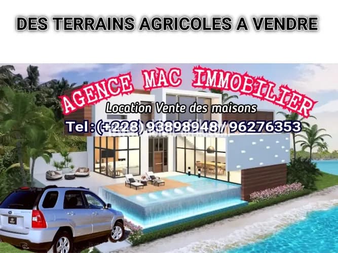 Terrain à vendre 1 lot à Agoè kartier Belgique Lomé-Togo