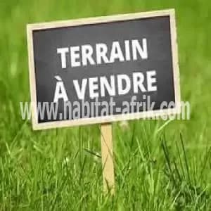 Parcelle en vente à Allada, Exsoprova non loin. du tribunal