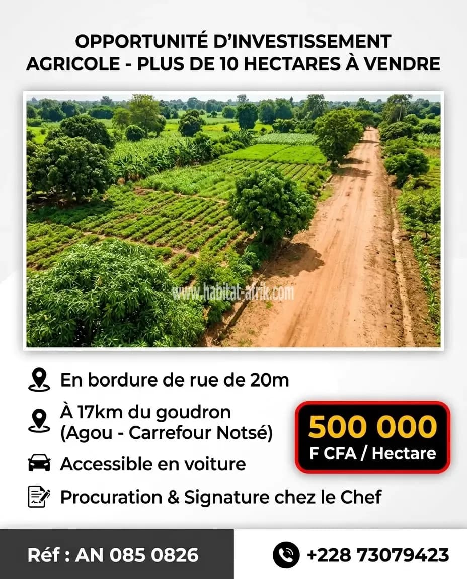Terrain agricole à vendre disponible à 17km du goudron carrefour notse agou togo