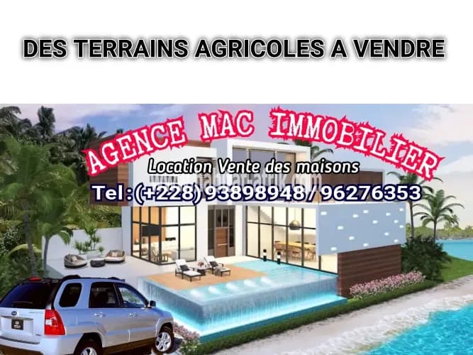 Terrain Agricole à vendre à lyly kopé 2,5 km de la route Lomé Notsè
