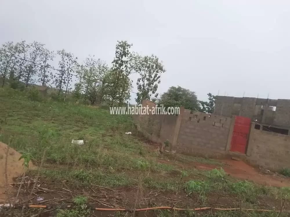 Je mets en vente une parcelle de terrain demi lot à akepedo zanguera lome togo