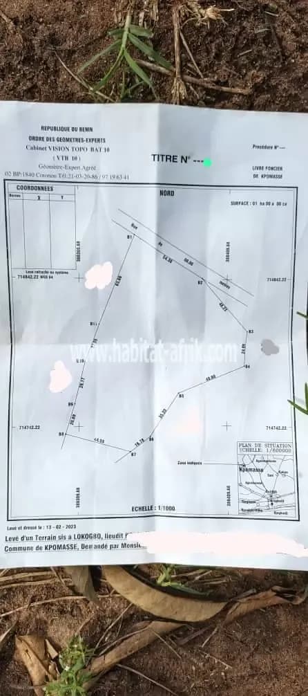 Domaine d'un hectare à kpomassè lokogbo au bord d'une grande voie