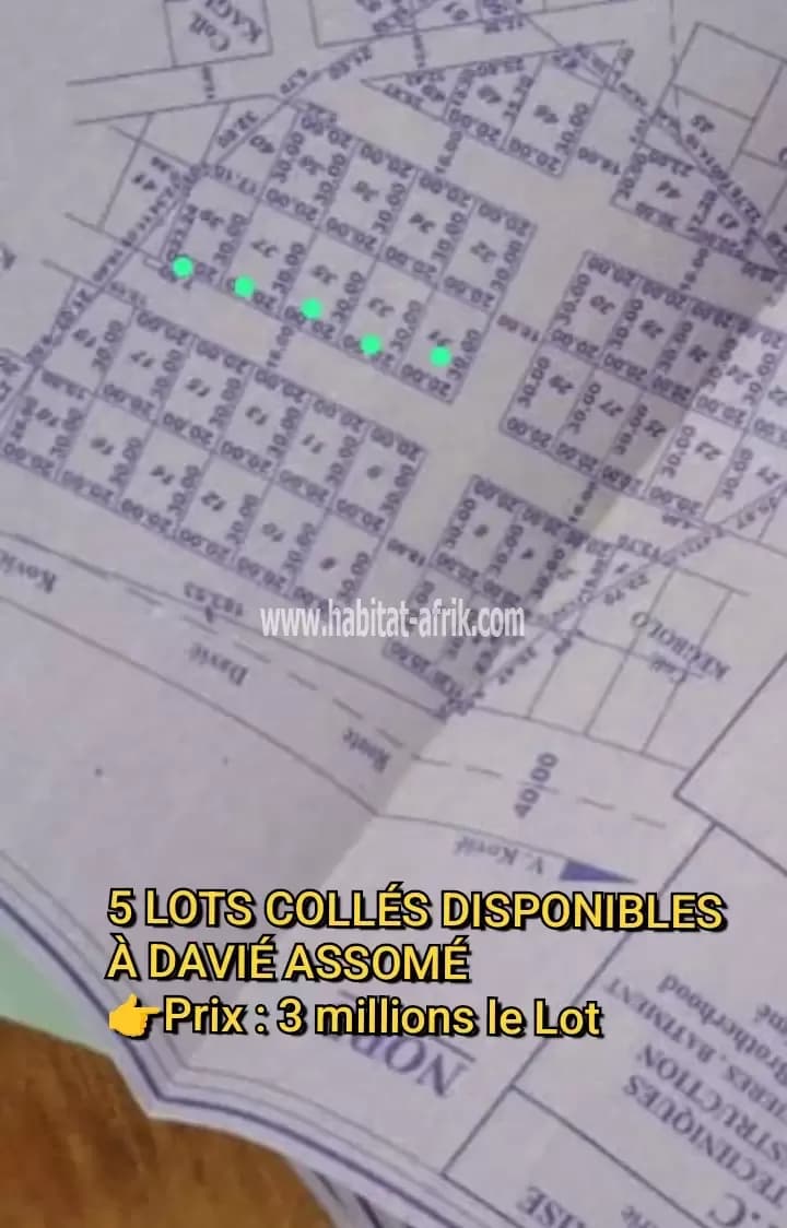 5 LOTS COLLÉS À DAVIÉ ASSOMÉ
