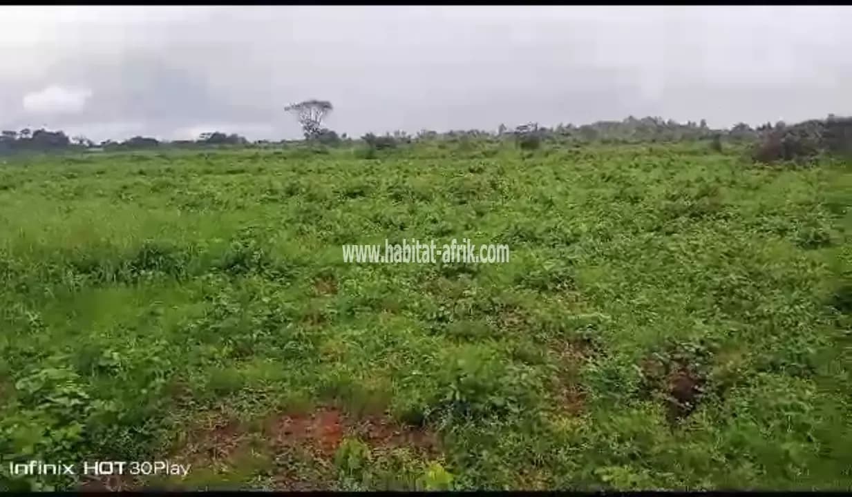 DOMAINE DE 10 HECTARES A OUIDAH SAVI