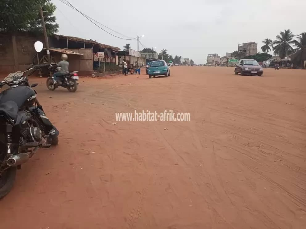 Je mets en vente une parcelle de terrain 1 lots collés en angle de rue à adidogome Amadanhome en face de la rue 50m du rails lome togo