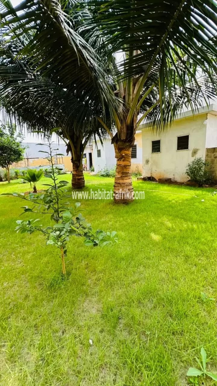 Nous mettons en vente une maison bâtie sur demi lot composé de trois (03) chambres salon jardin situé à Hedzranawoe lome togo